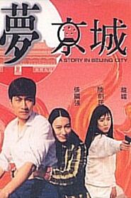 A Story in Beijing City 1993 one on netflix