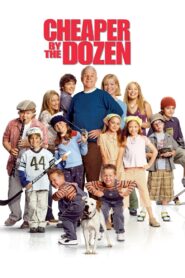 Cheaper by the Dozen 2003 one on netflix
