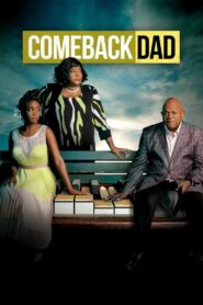 Comeback Dad 2014 one on netflix