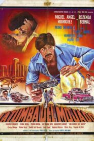 La Tumba Del Mojado 1985 one on netflix