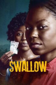Swallow 2021 one on netflix