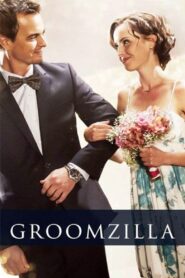 Groomzilla 2018 one on netflix