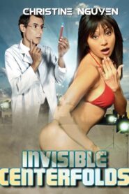 Invisible Centerfolds 2015 one on netflix