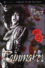 Prince and the Revolution: The Makings Of Rain 1983 one on netflix