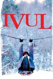 Ivul 2010 one on netflix