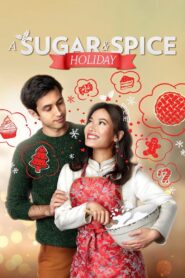 A Sugar & Spice Holiday 2020 one on netflix
