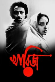 The Case Is Closed 1982 one on netflix