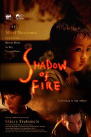 Shadow of Fire 2023 one on netflix