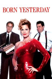 Born Yesterday 1993 one on netflix