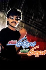 Akkada Ammayi Ikkada Abbayi 1996 one on netflix