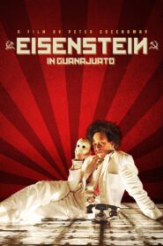 Eisenstein in Guanajuato 2015 one on netflix
