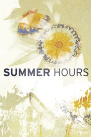 Summer Hours 2008 one on netflix