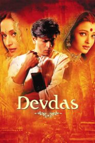 Devdas 2002 one on netflix