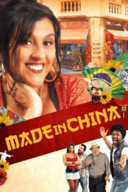 Made in China 2014 one on netflix