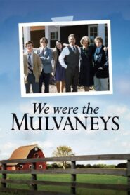 We Were the Mulvaneys 2002 one on netflix