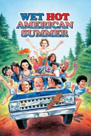 Wet Hot American Summer 2001 one on netflix