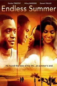 Endless Summer 2012 one on netflix