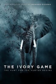The Ivory Game 2016 one on netflix