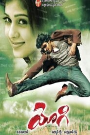 Yogi 2007 one on netflix
