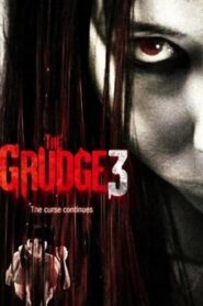 The Grudge 3: The Curse Continues 2009 one on netflix