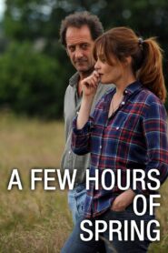 A Few Hours of Spring 2012 one on netflix