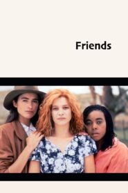 Friends 1993 one on netflix