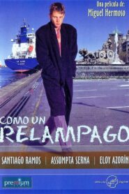 Like a Bolt of Lightning 1996 one on netflix