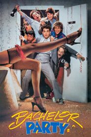Bachelor Party 1984 one on netflix