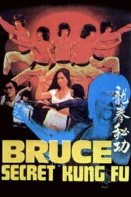 Bruce’s Secret Kung Fu 1988 one on netflix