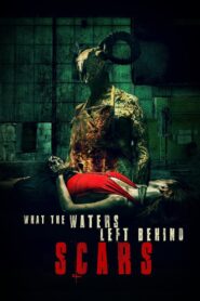 What the Waters Left Behind: Scars 2023 one on netflix