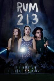 Room 213 2017 one on netflix