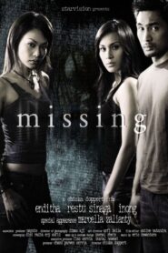 Missing 2005 one on netflix