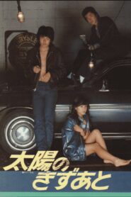 Scars of the Sun 1981 one on netflix