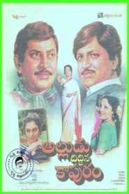 Alludu Diddina Kapuram 1991 one on netflix