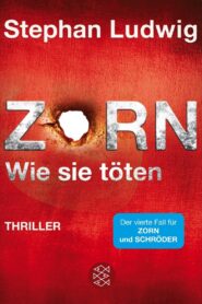 Zorn – Wie sie töten 2016 one on netflix