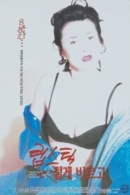 Dark Lipstick 1996 one on netflix
