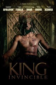 King Invincible 2017 one on netflix