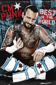CM Punk: Best in the World 2012 one on netflix