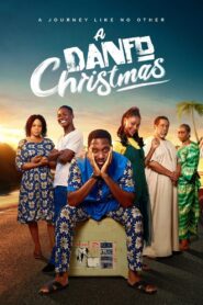 A Danfo Christmas 2024 one on netflix