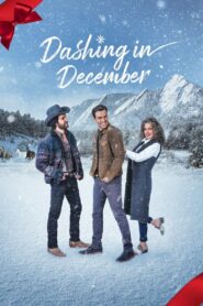 Dashing in December 2020 one on netflix