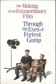 Through the Eyes of Forrest Gump 1994 one on netflix