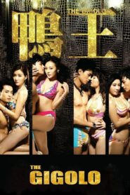 The Gigolo 2015 one on netflix