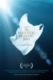 The Majestic Plastic Bag 2010 one on netflix