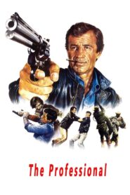 The Professional 1981 one on netflix