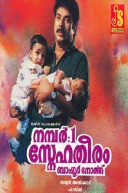 No: 1 Snehatheeram Banglore North 1995 one on netflix