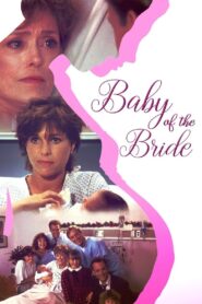 Baby of the Bride 1991 one on netflix