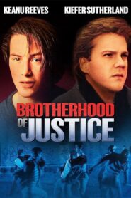 The Brotherhood of Justice 1986 one on netflix