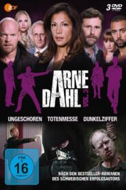 Arne Dahl – Mörkertal 2015 one on netflix