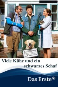 Viele Kühe und ein schwarzes Schaf 2020 one on netflix