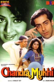 Chandra Mukhi 1993 one on netflix
